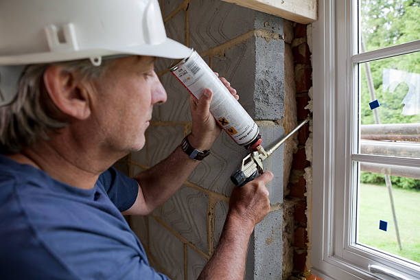 Best Best Insulation Companies  in Sterling Heights, MI