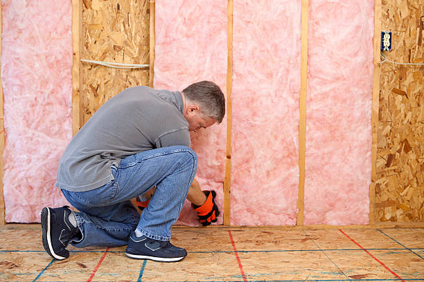 Best Spray Foam Insulation  in Sterling Heights, MI