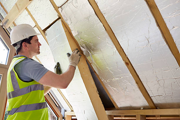 Best Energy-efficient Insulation  in Sterling Heights, MI
