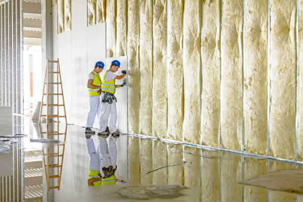 Best Insulation Removal  in Sterling Heights, MI